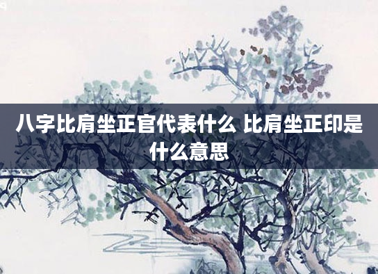八字比肩坐正官代表什么 比肩坐正印是什么意思