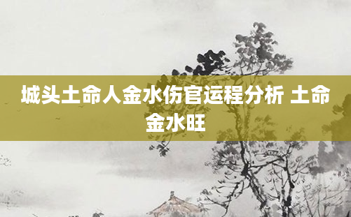 城头土命人金水伤官运程分析 土命金水旺