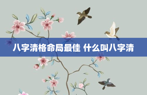 八字清格命局最佳 什么叫八字清