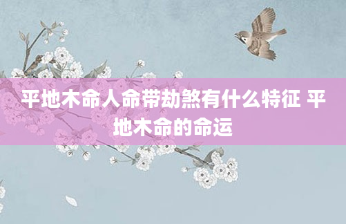 平地木命人命带劫煞有什么特征 平地木命的命运