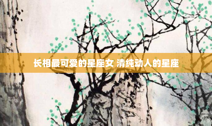 长相最可爱的星座女 清纯动人的星座