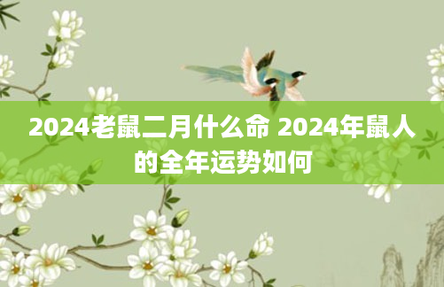 2024老鼠二月什么命 2024年鼠人的全年运势如何