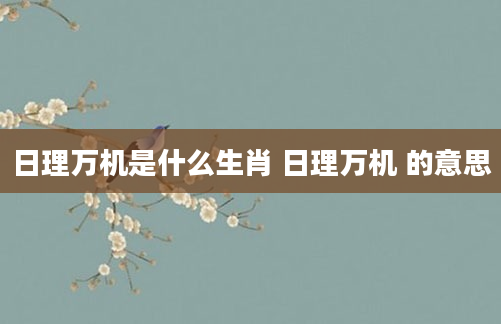 日理万机是什么生肖 日理万机 的意思