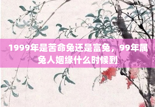 1999年是苦命兔还是富兔，99年属兔人姻缘什么时候到