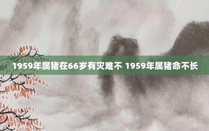 1959年属猪在66岁有灾难不 1959年属猪命不长
