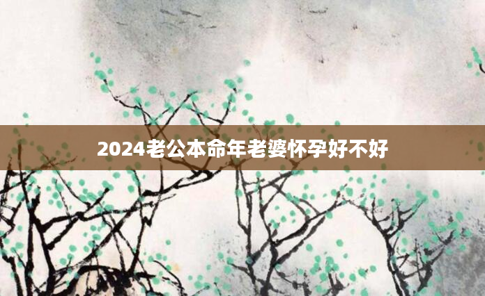 2024老公本命年老婆怀孕好不好