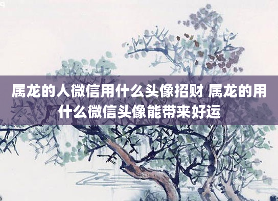 属龙的人微信用什么头像招财 属龙的用什么微信头像能带来好运