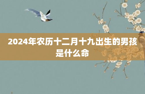 2024年农历十二月十九出生的男孩是什么命