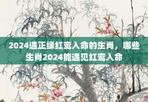 2024遇正缘红鸾入命的生肖，哪些生肖2024能遇见红鸾入命
