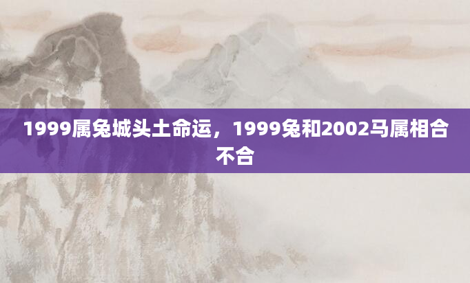 1999属兔城头土命运，1999兔和2002马属相合不合