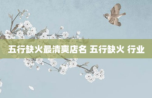 五行缺火最清爽店名 五行缺火 行业