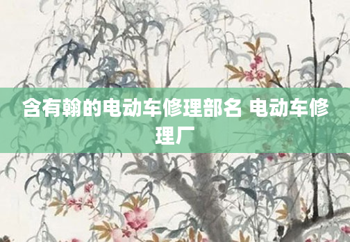 含有翰的电动车修理部名 电动车修理厂