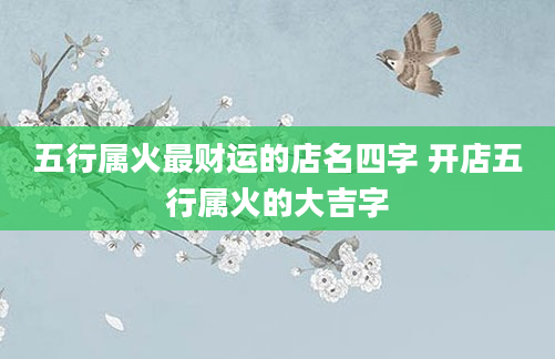 五行属火最财运的店名四字 开店五行属火的大吉字