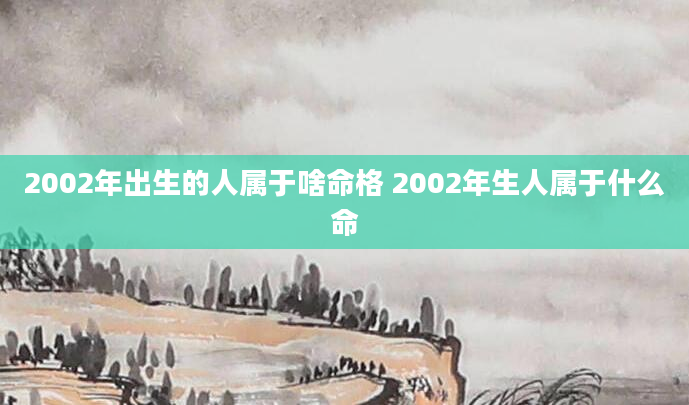 2002年出生的人属于啥命格 2002年生人属于什么命