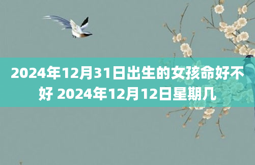 2024年12月31日出生的女孩命好不好 2024年12月12日星期几