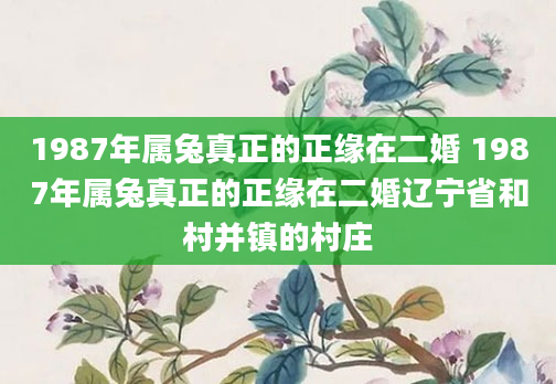 1987年属兔真正的正缘在二婚 1987年属兔真正的正缘在二婚辽宁省和村并镇的村庄