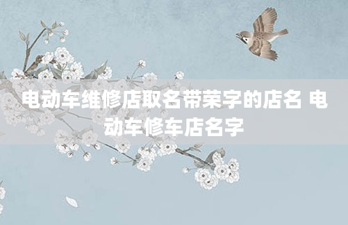 电动车维修店取名带荣字的店名 电动车修车店名字