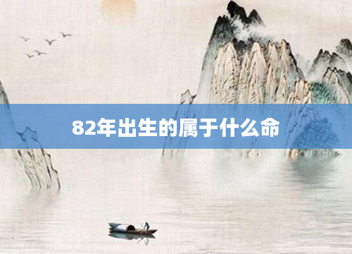 82年出生的属于什么命