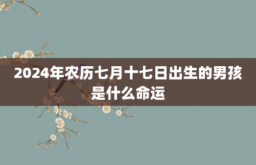 2024年农历七月十七日出生的男孩是什么命运