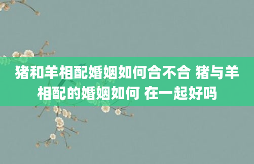 猪和羊相配婚姻如何合不合 猪与羊相配的婚姻如何 在一起好吗