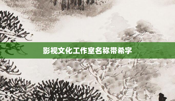 影视文化工作室名称带希字