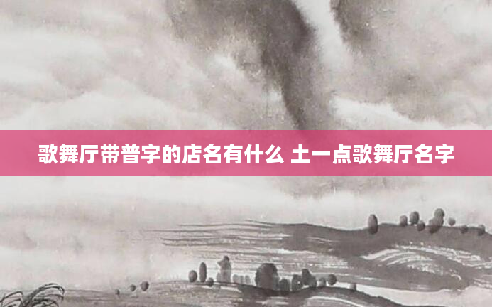 歌舞厅带普字的店名有什么 土一点歌舞厅名字