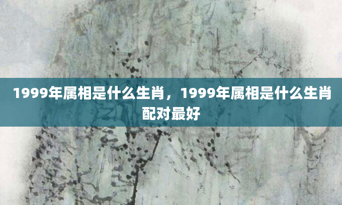 1999年属相是什么生肖，1999年属相是什么生肖配对最好
