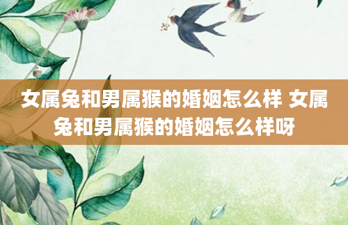 女属兔和男属猴的婚姻怎么样 女属兔和男属猴的婚姻怎么样呀