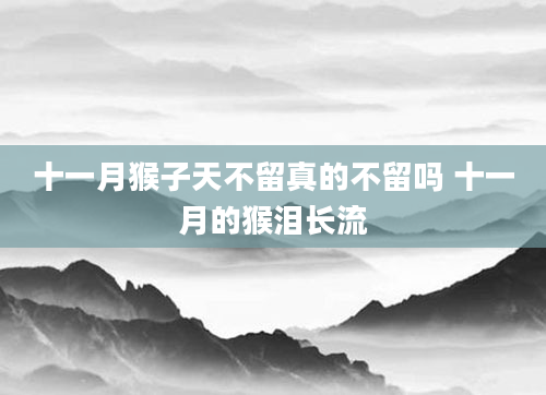 十一月猴子天不留真的不留吗 十一月的猴泪长流