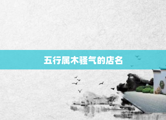 五行属木骚气的店名