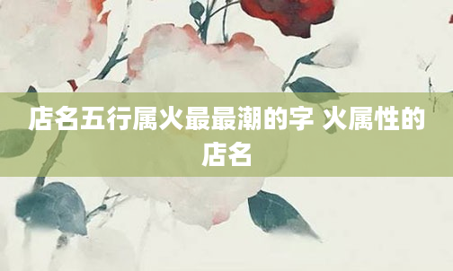 店名五行属火最最潮的字 火属性的店名