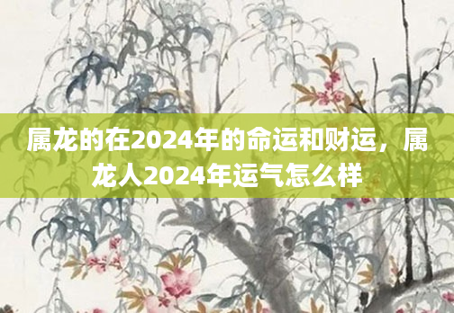 属龙的在2024年的命运和财运，属龙人2024年运气怎么样