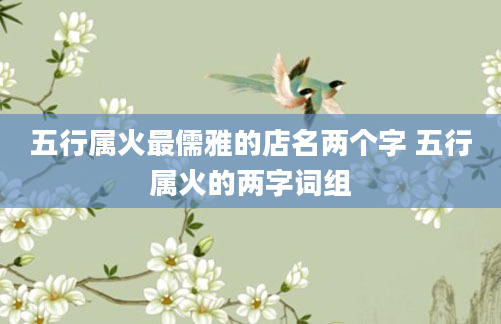 五行属火最儒雅的店名两个字 五行属火的两字词组
