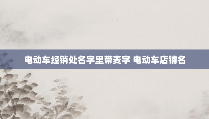 电动车经销处名字里带麦字 电动车店铺名