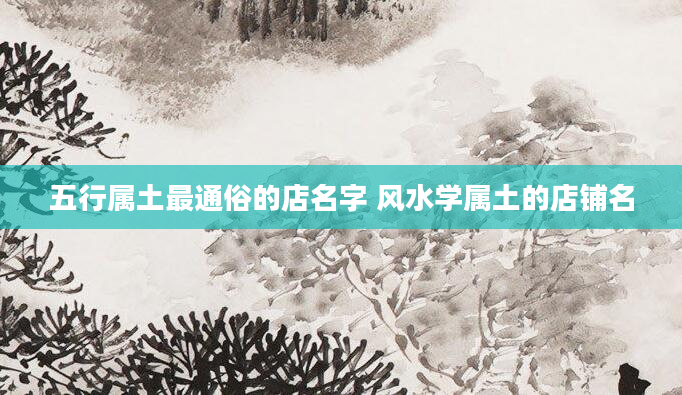 五行属土最通俗的店名字 风水学属土的店铺名