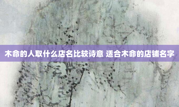 木命的人取什么店名比较诗意 适合木命的店铺名字