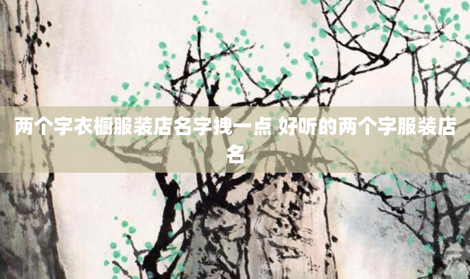 两个字衣橱服装店名字拽一点 好听的两个字服装店名
