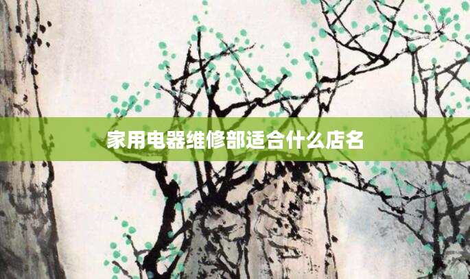 家用电器维修部适合什么店名