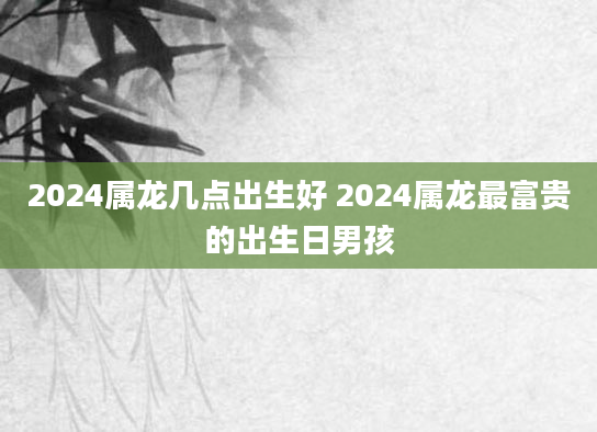 2024属龙几点出生好 2024属龙最富贵的出生日男孩