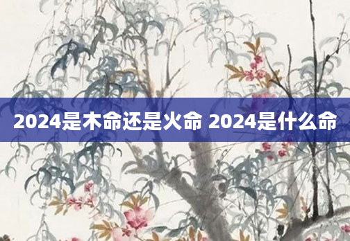 2024是木命还是火命 2024是什么命