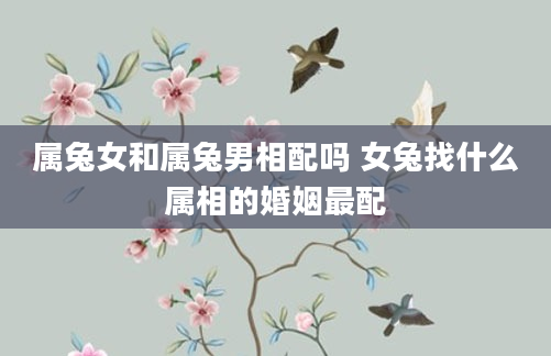 属兔女和属兔男相配吗 女兔找什么属相的婚姻最配