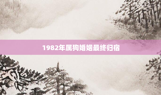 1982年属狗婚姻最终归宿