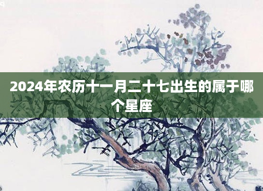 2024年农历十一月二十七出生的属于哪个星座