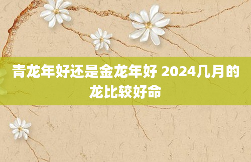 青龙年好还是金龙年好 2024几月的龙比较好命