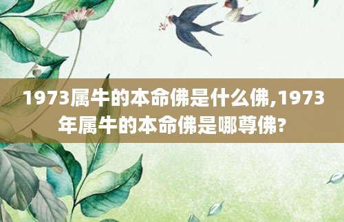 1973属牛的本命佛是什么佛,1973年属牛的本命佛是哪尊佛?