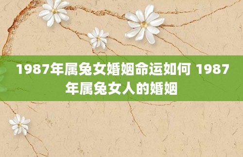 1987年属兔女婚姻命运如何 1987年属兔女人的婚姻