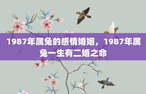 1987年属兔的感情婚姻，1987年属兔一生有二婚之命