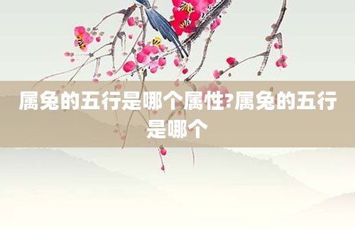 属兔的五行是哪个属性?属兔的五行是哪个