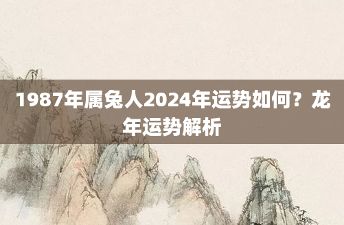 1987年属兔人2024年运势如何？龙年运势解析