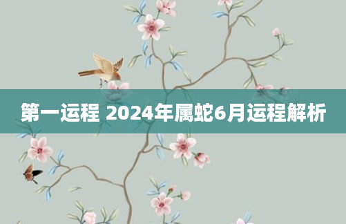 第一运程 2024年属蛇6月运程解析